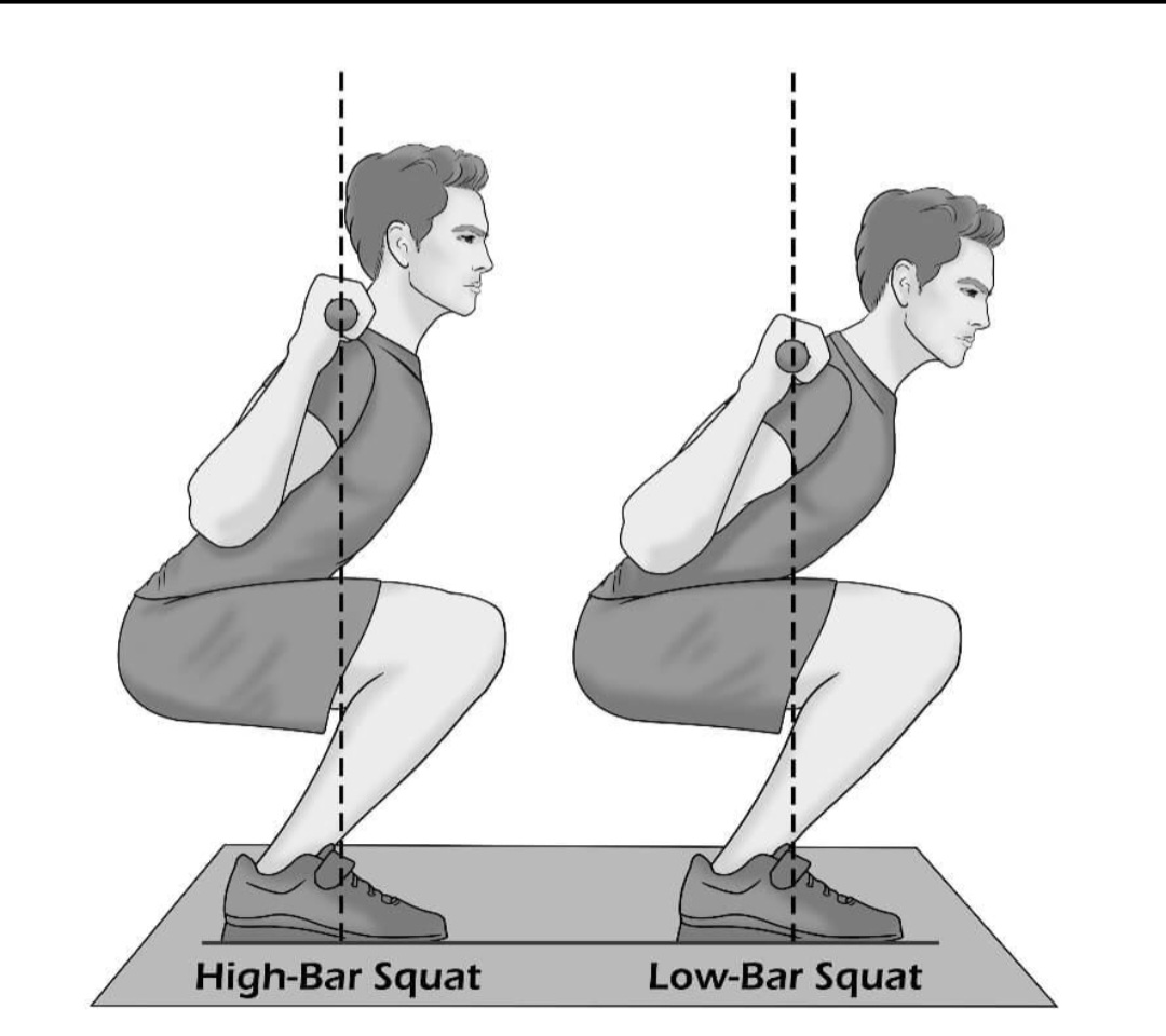 High bar vs low bar squat position comparison